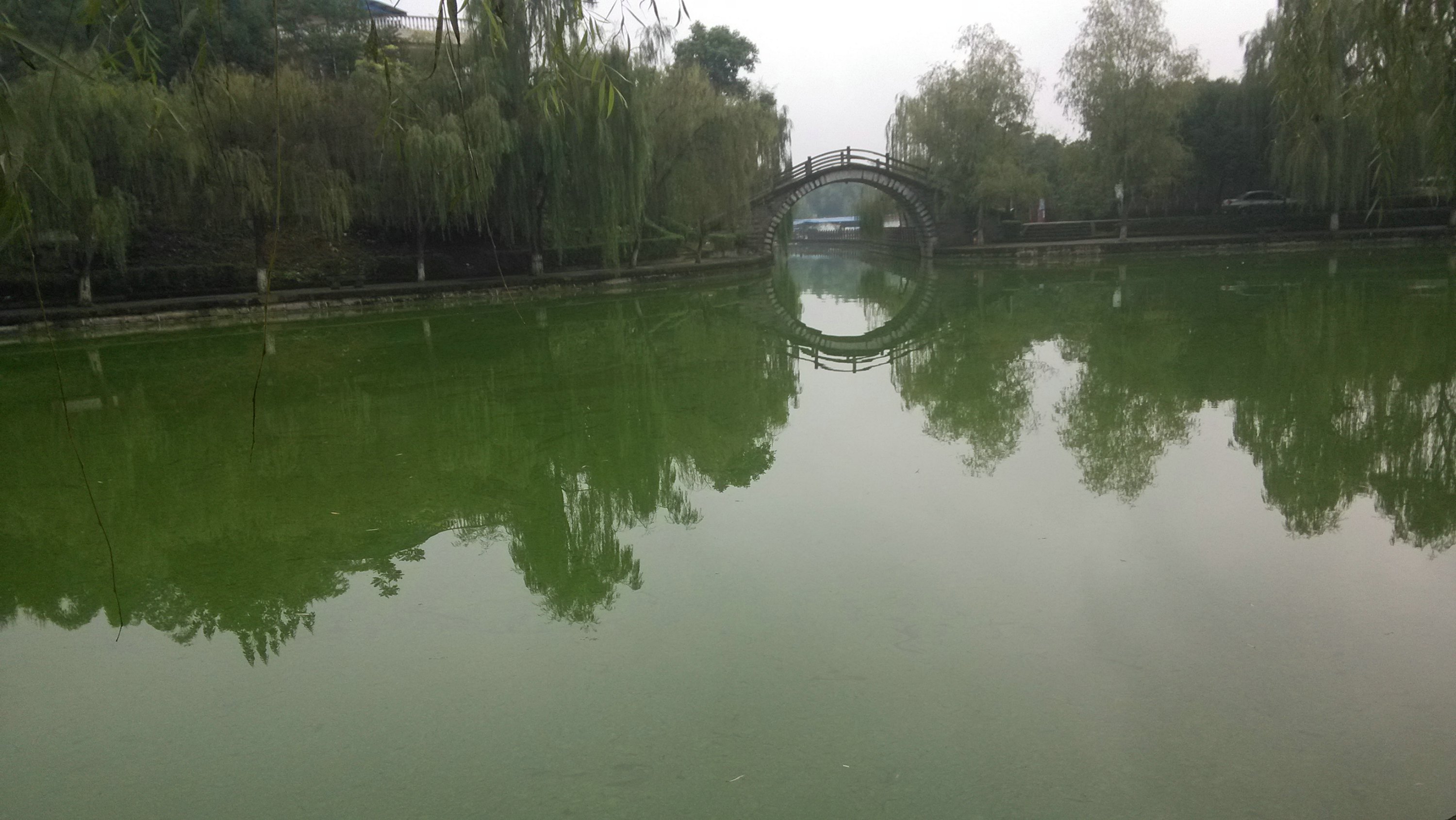 IMG_20151006_080405.jpg