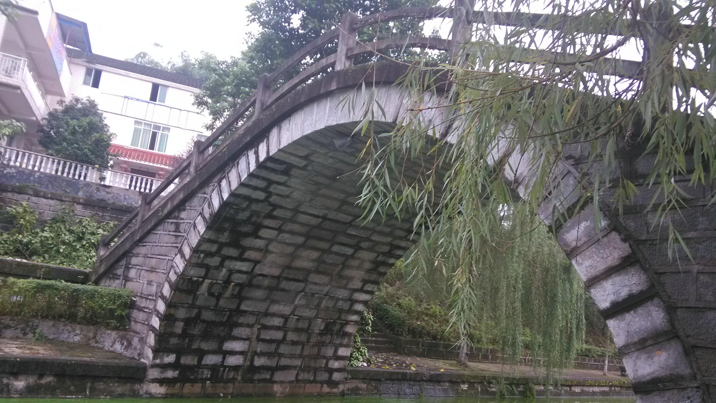 IMG_20151006_080805.jpg