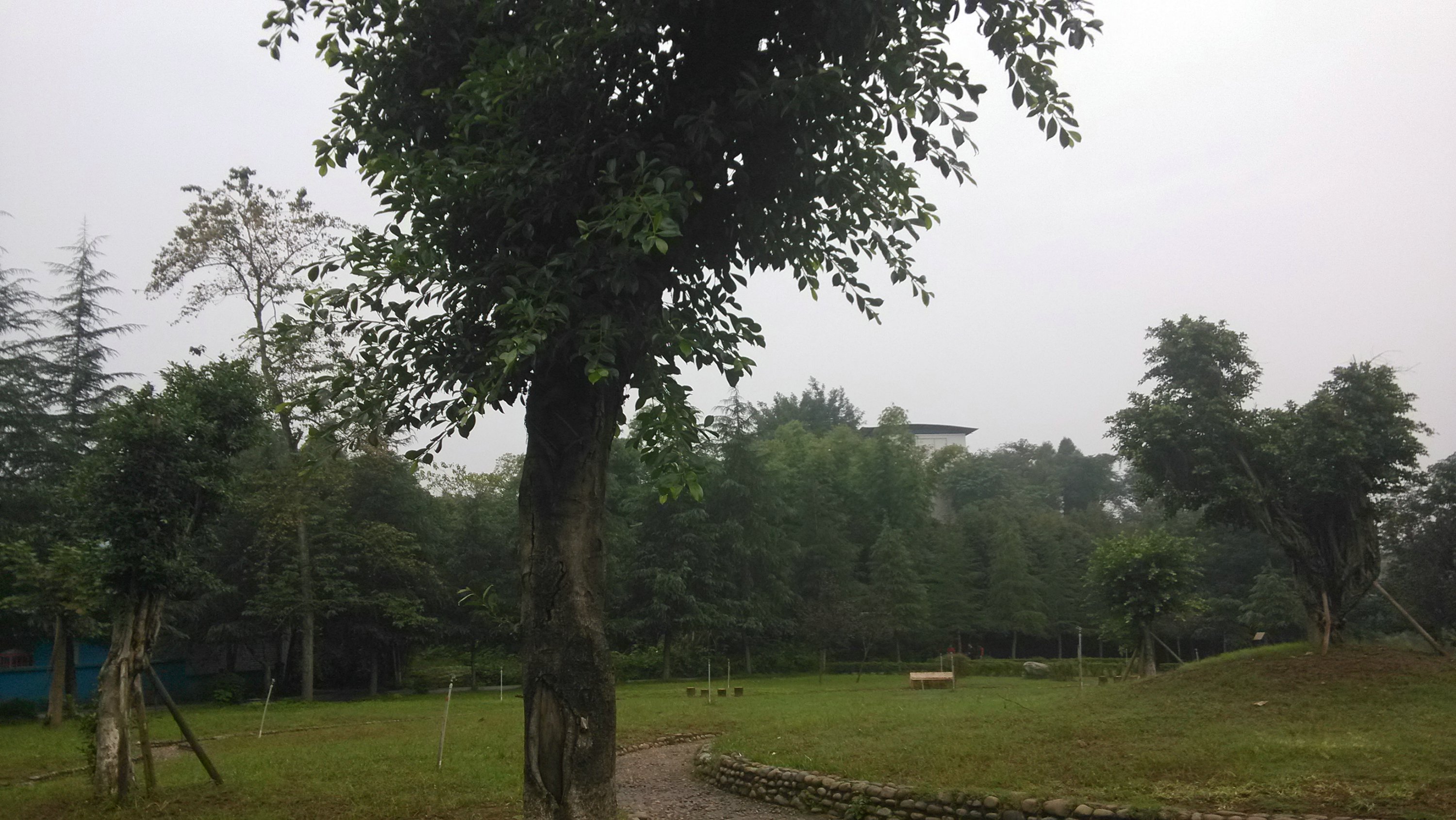 IMG_20151006_081632.jpg