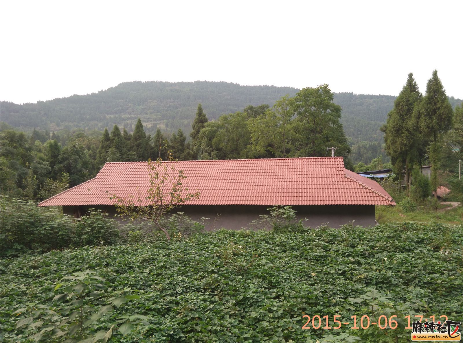 IMG_20151006_171225.jpg