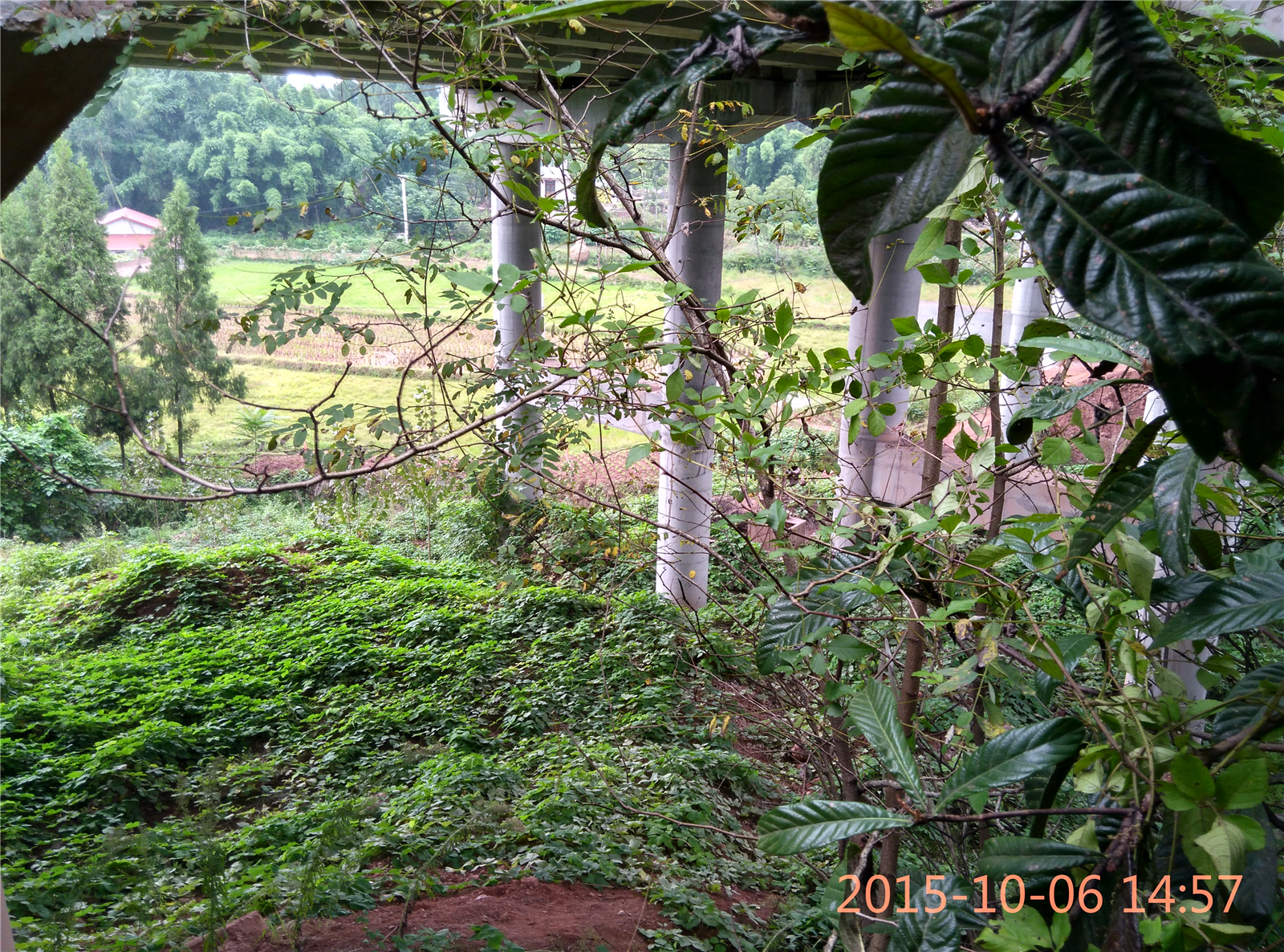 IMG_20151006_145723_HDR.jpg