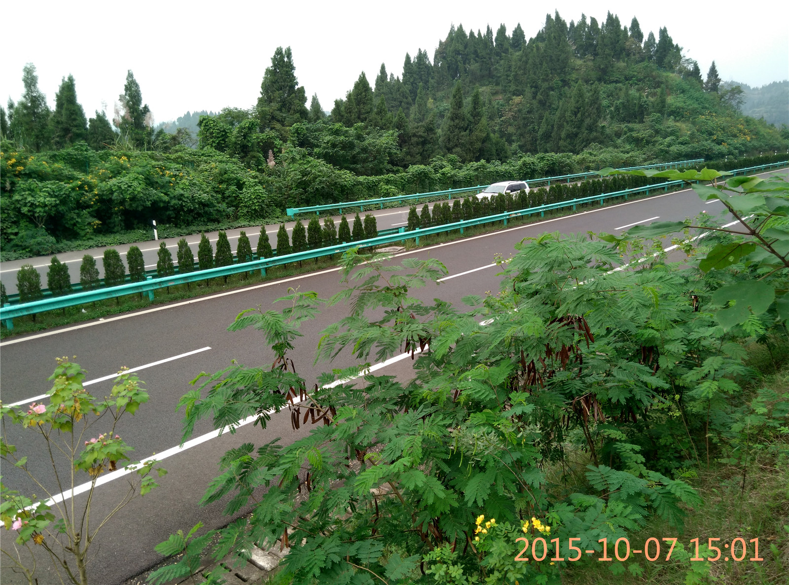IMG_20151007_150147_HDR.jpg