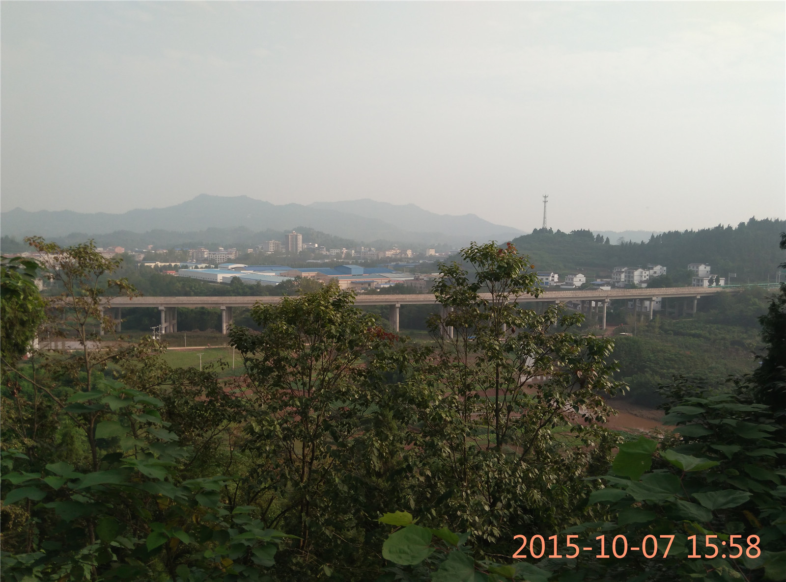 IMG_20151007_155814.jpg