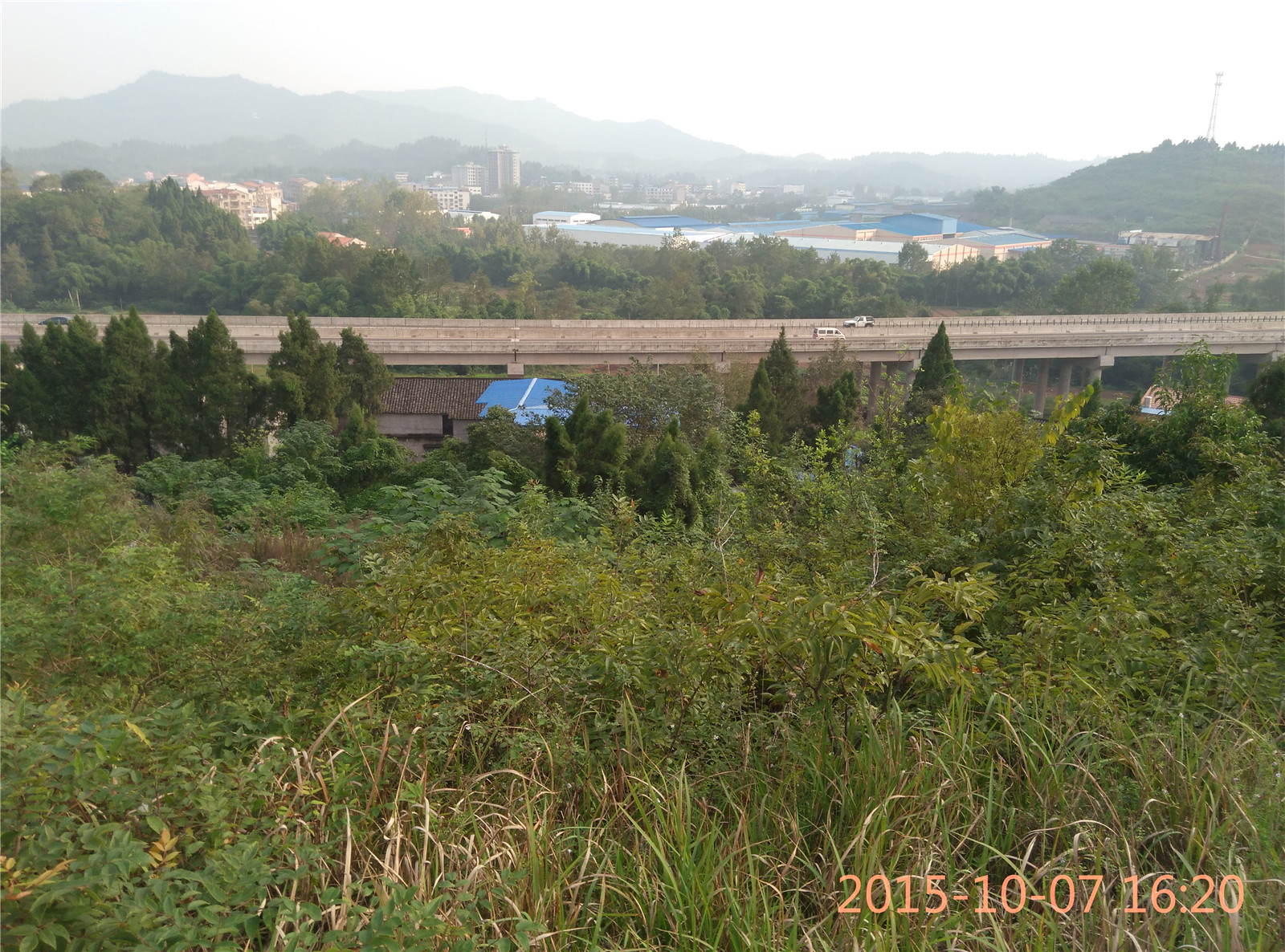 IMG_20151007_162059.jpg