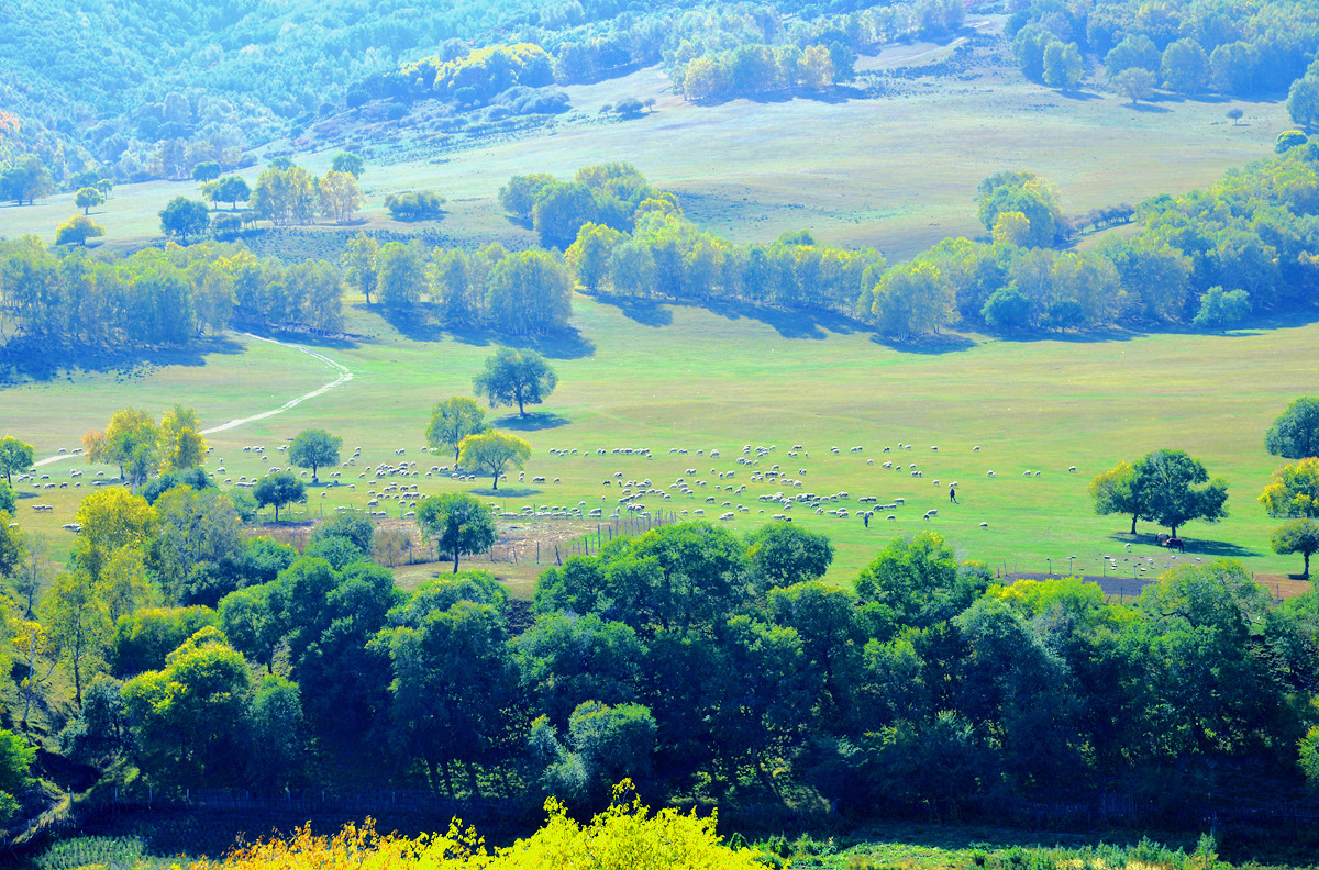 DSC_7456_.jpg