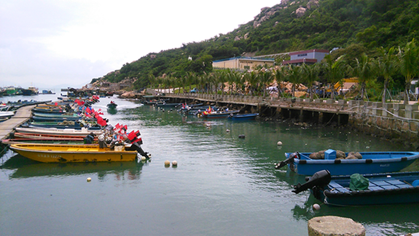 IMG_20151007_103852.jpg
