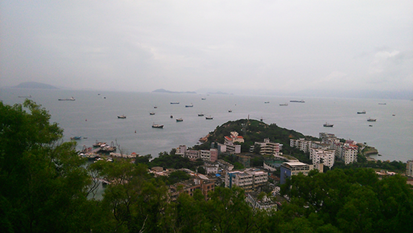 IMG_20151007_115620.jpg