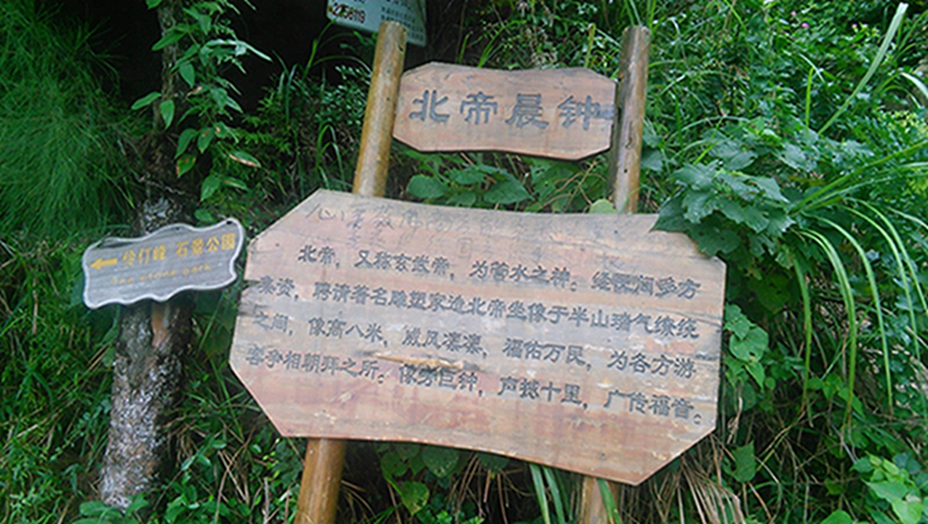 IMG_20151007_120013.jpg