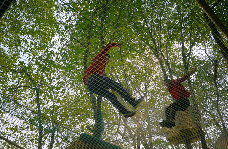 到郫县三道堰去飞越丛林!