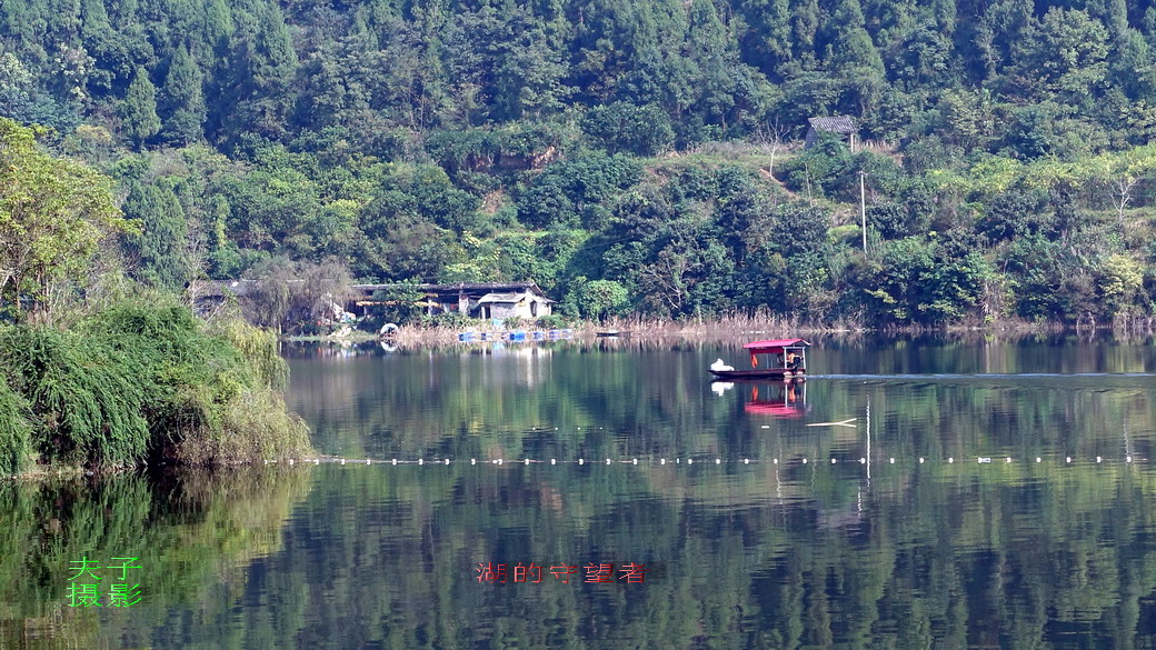 DSC08391.jpg