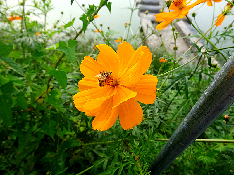 DSC02260_.jpg