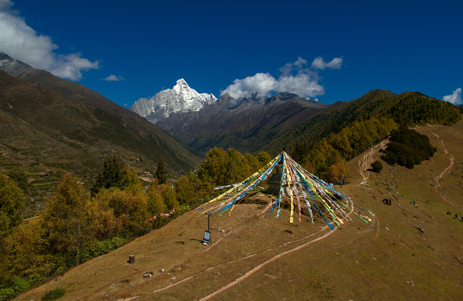 20151006-DJI_0308.jpg