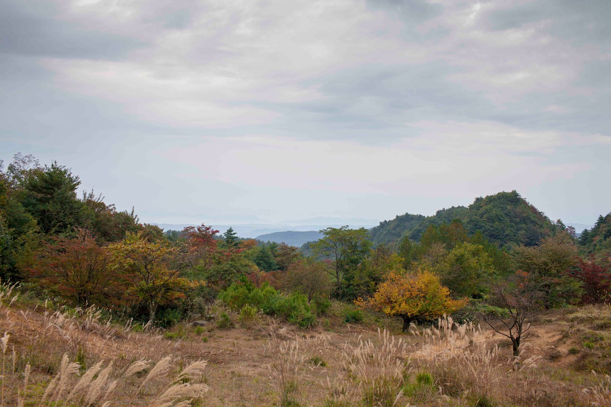 世外桃园-平岗乡张公塘村-南江论坛-麻辣社区 四川