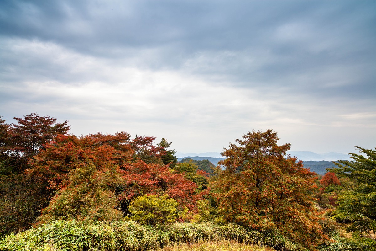 世外桃园-平岗乡张公塘村-南江论坛-麻辣社区-四川