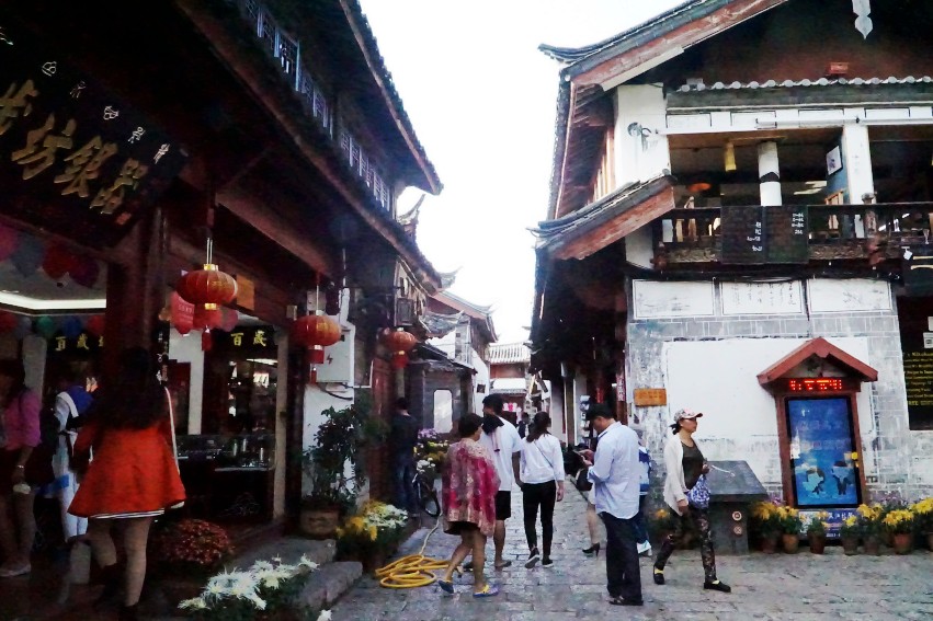 DSC01780_conew1.jpg