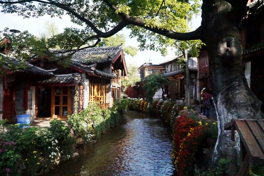 DSC01783_conew1.jpg