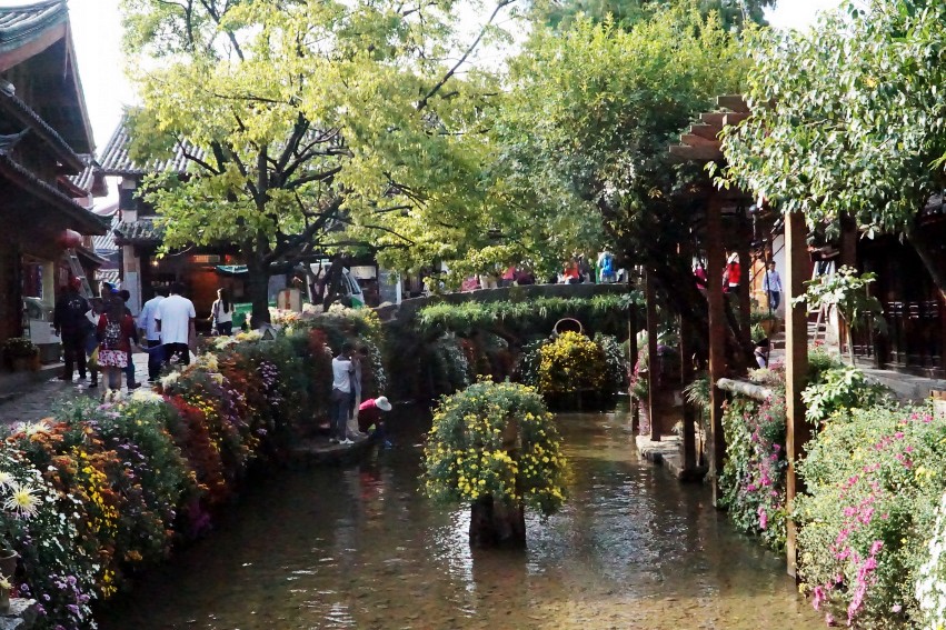 DSC01787_conew1.jpg