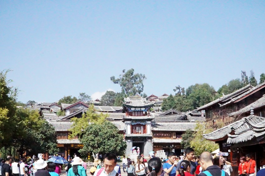 DSC01829_conew1.jpg