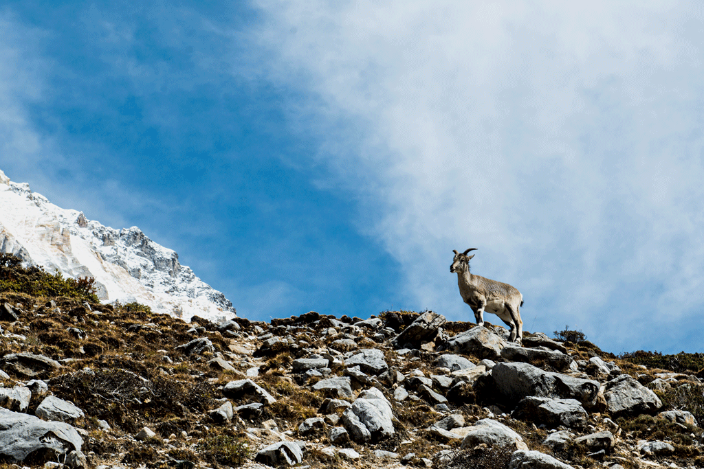 _DSC7922.gif