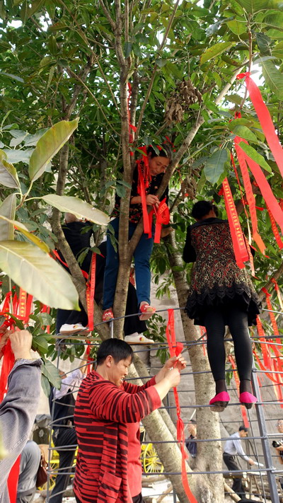 DSC08875.jpg