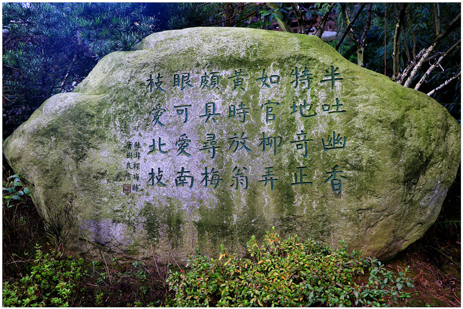 0B4A4656.jpg