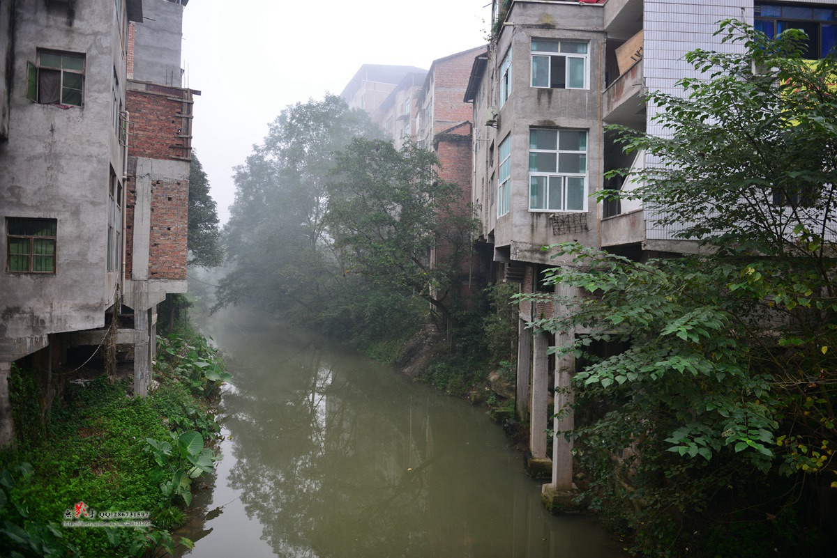DSC_4989.jpg