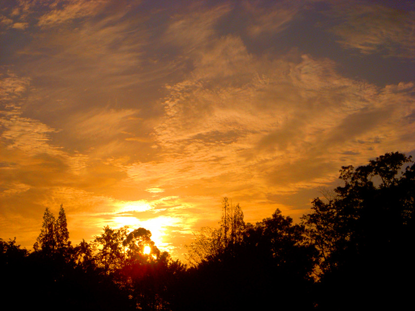 DSCN1103_.jpg