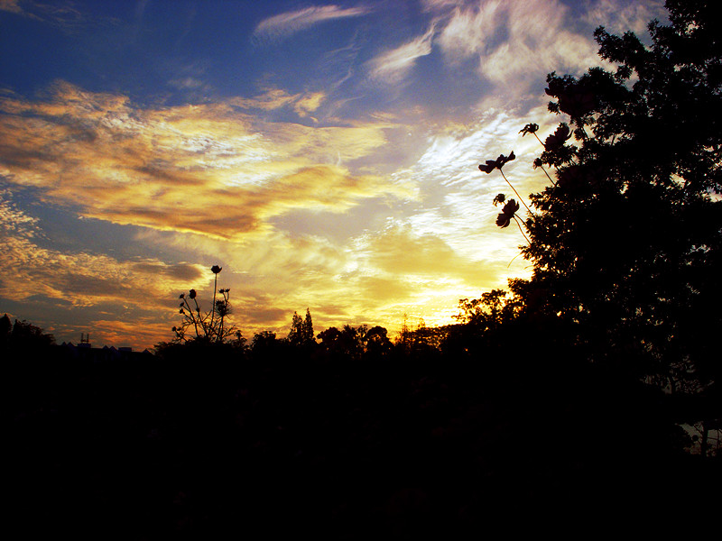 DSCN1147_.jpg