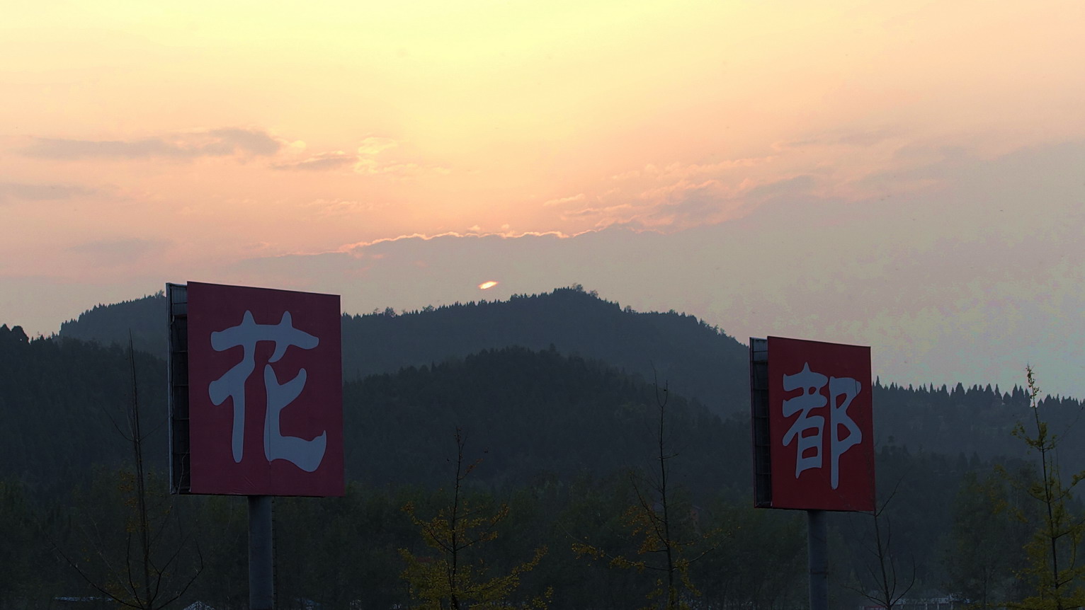 DSC08488.jpg