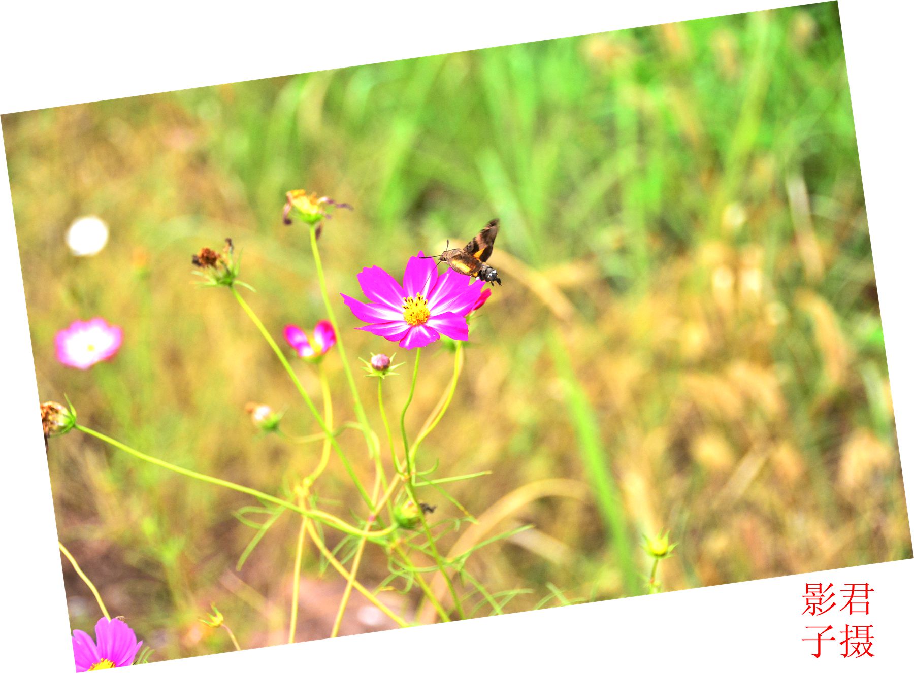Ƭ 070_.jpg