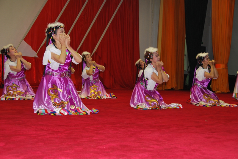 DSC_8239.jpg