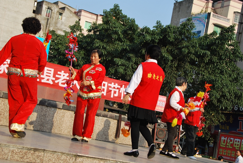 DSC_8433.jpg