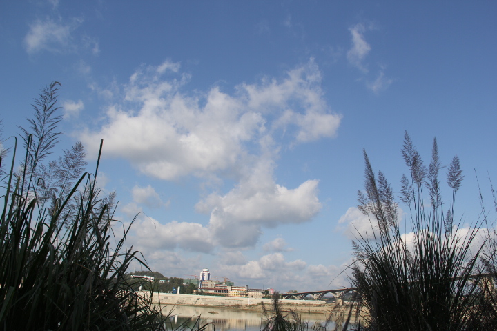 IMG_7947.JPG