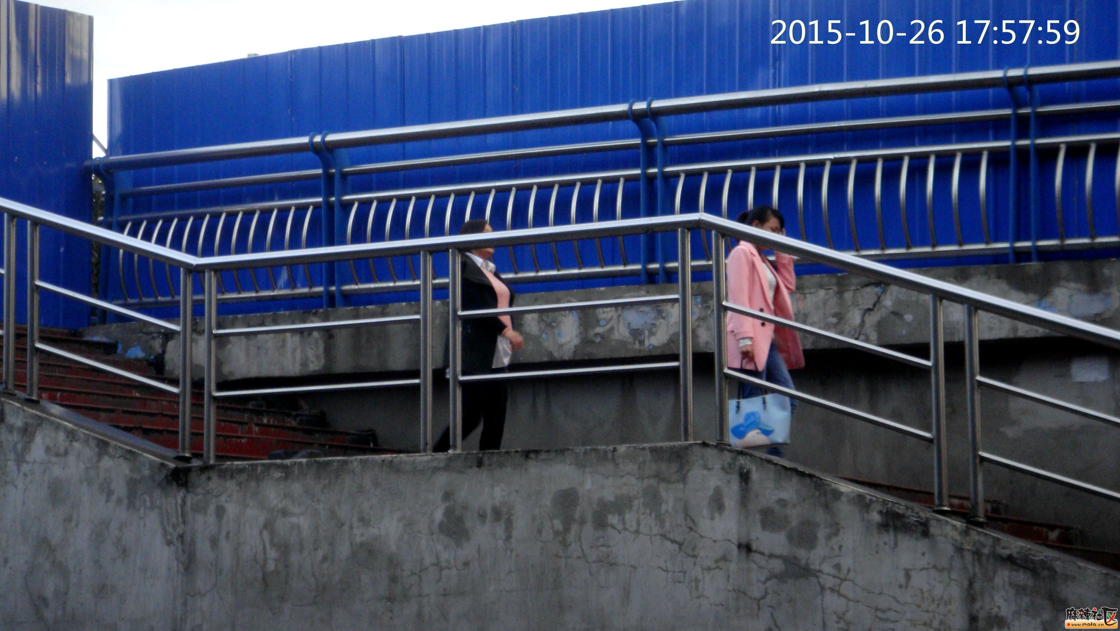 白塔大桥封闭施工之六:人钻洞,车儿钻洞,狗儿凑热闹也钻洞,钻洞成时髦