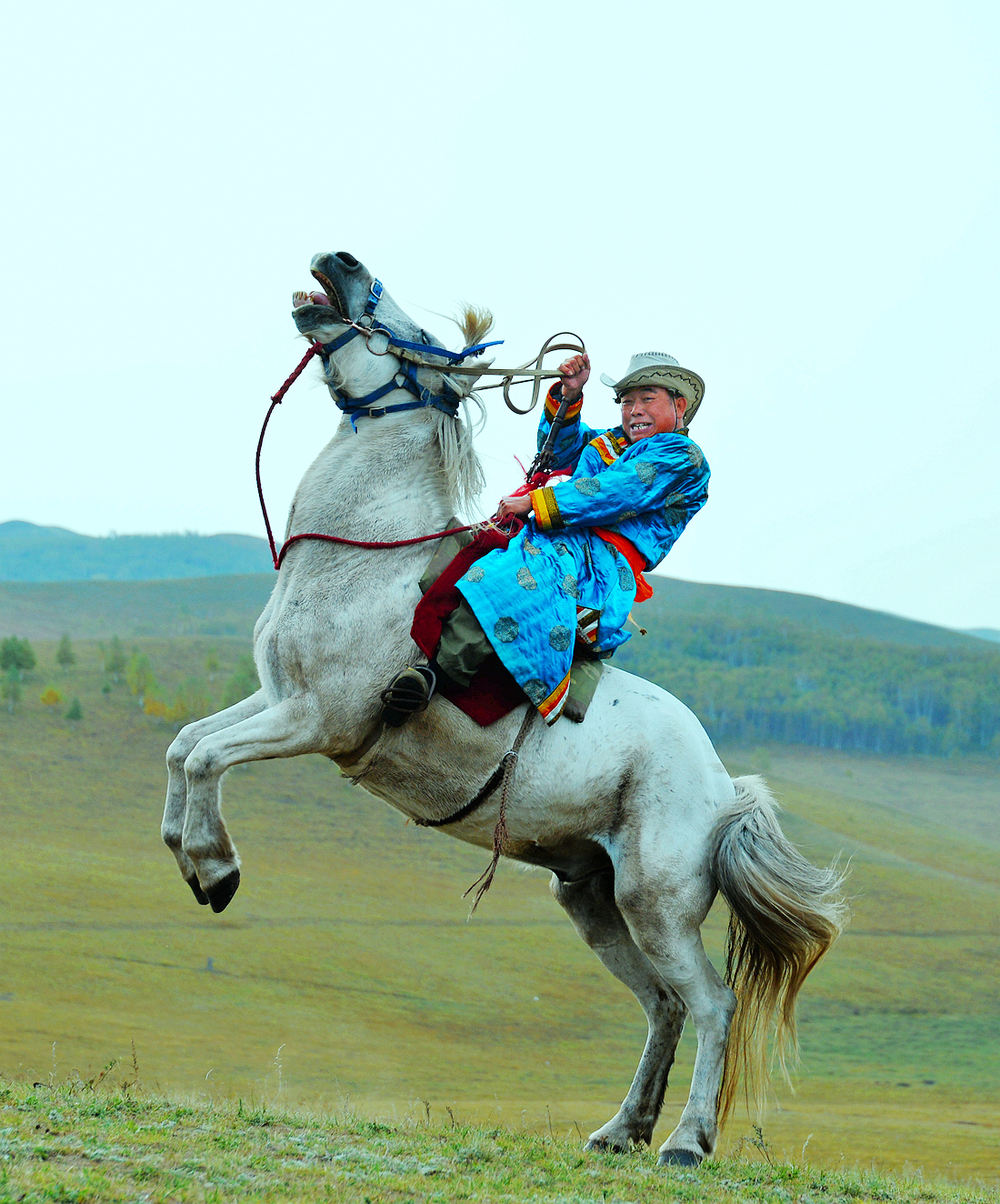 一路北上只为那秋色"内蒙古乌兰布统旅游摄影系列"《七》-(立马逞威)