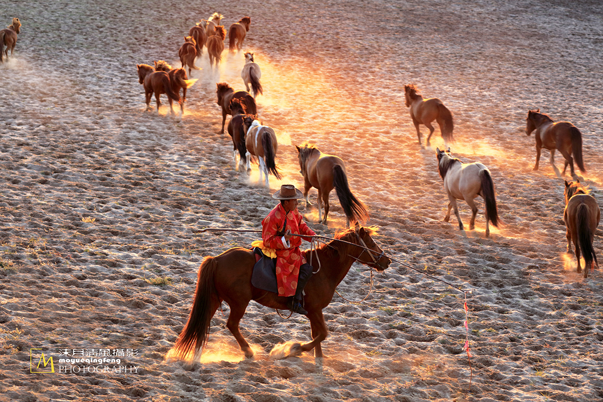 乌兰布统印象马踏归来夕阳红