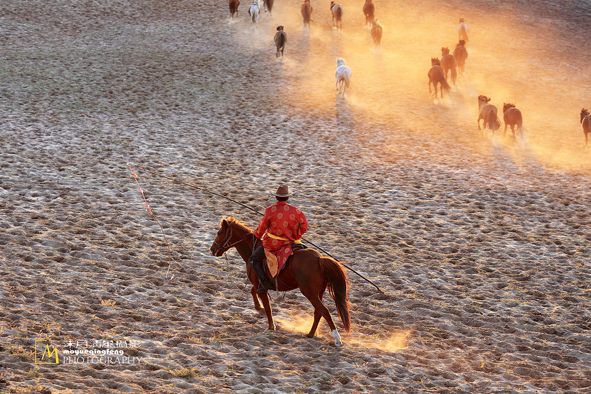 乌兰布统印象马踏归来夕阳红