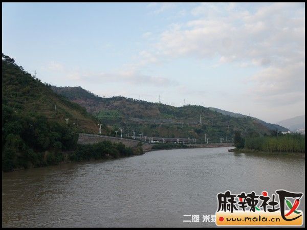 conew_dsc01815.jpg