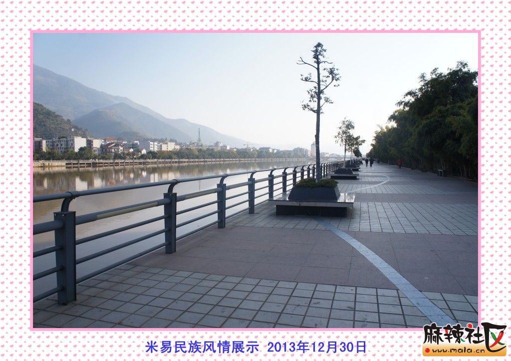 conew_dsc06273.jpg