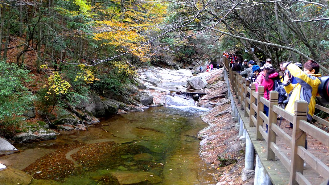 P1120459_.jpg