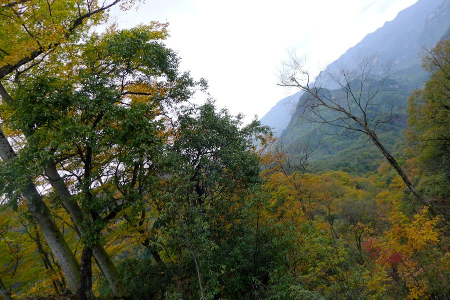 P1120409_.jpg