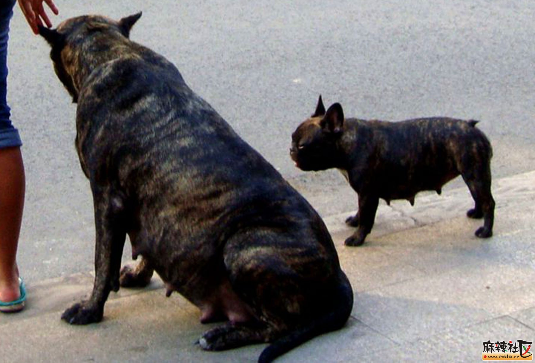 DSC02693__.jpg