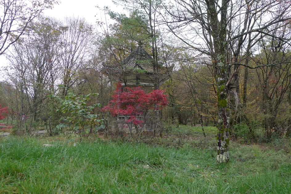 P1120218.jpg