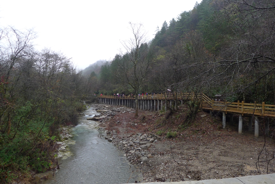 P1120101.jpg