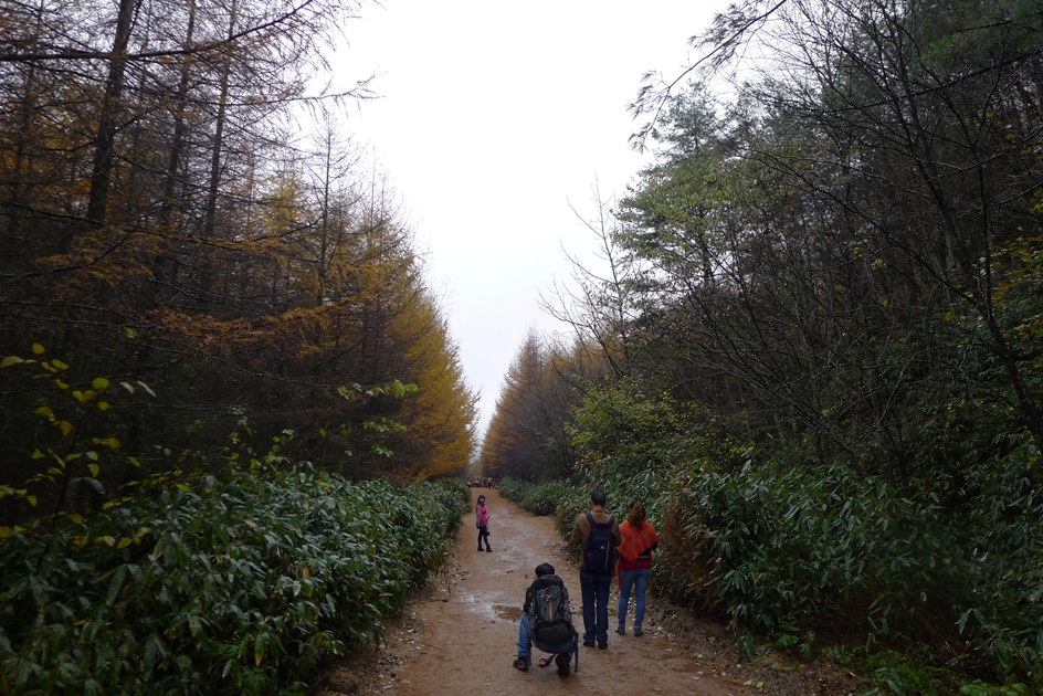 P1120116.jpg