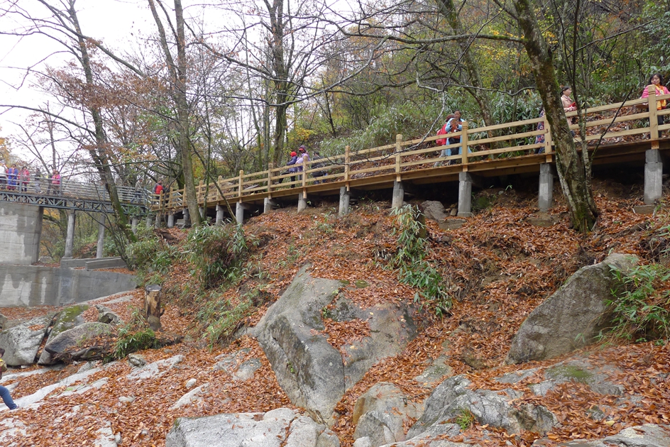 P1120151.jpg