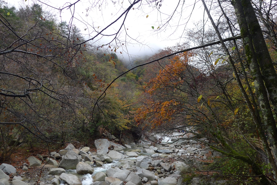 P1120163.jpg