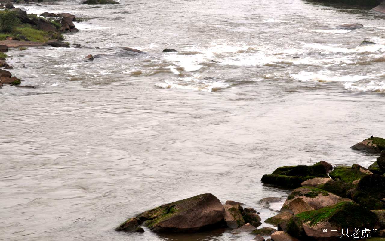 DSC_0072.JPG