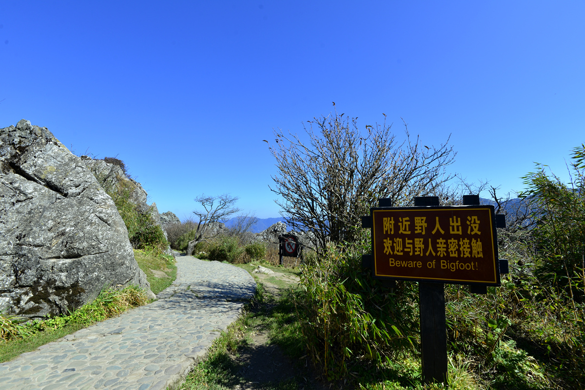 _DSC2963__.jpg