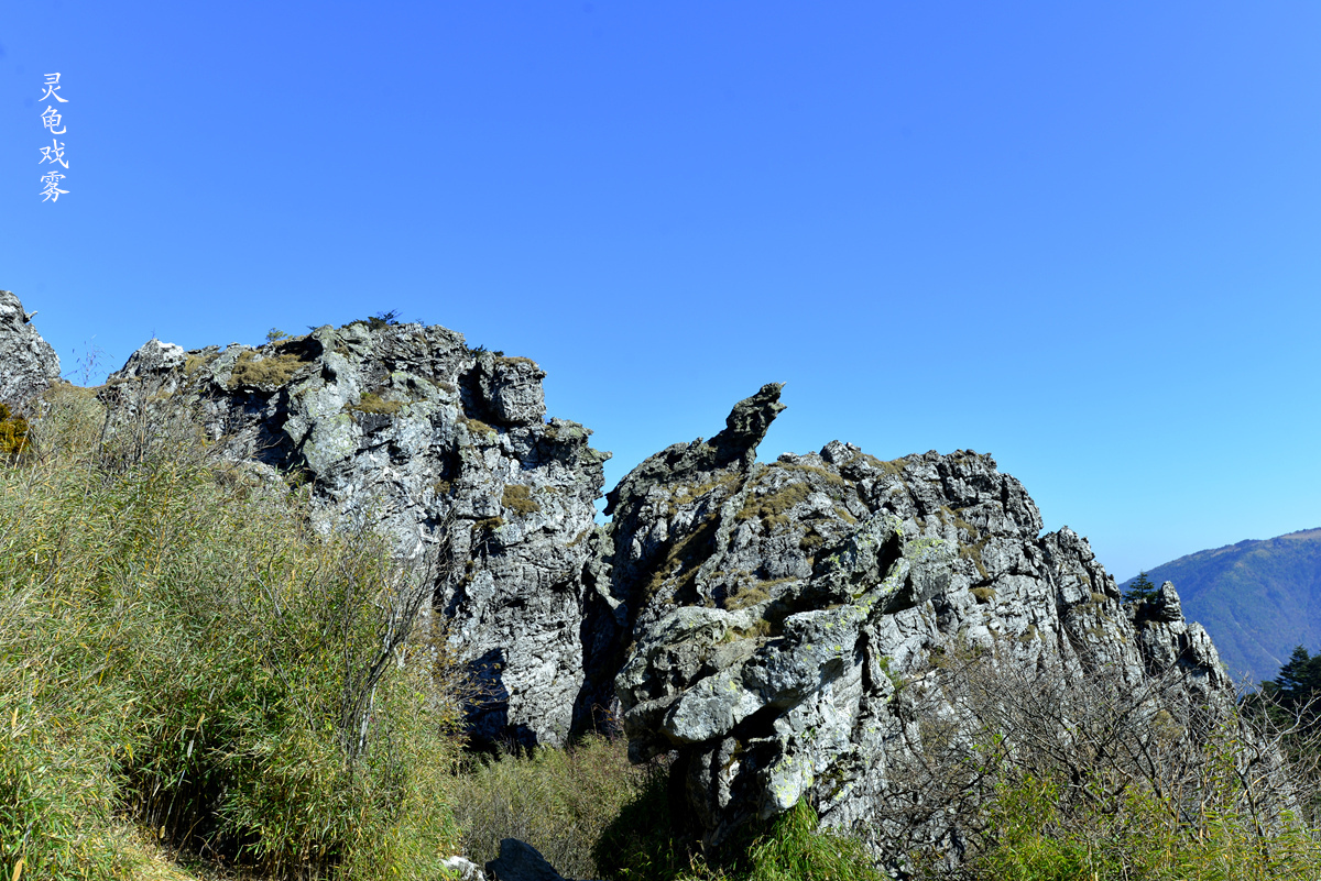 _DSC2968__.jpg
